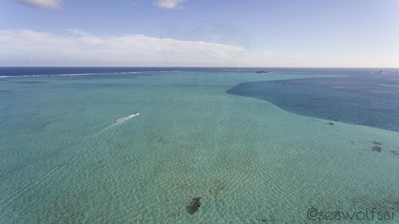 Sea Wolf Apartments San Andrés 외부 사진